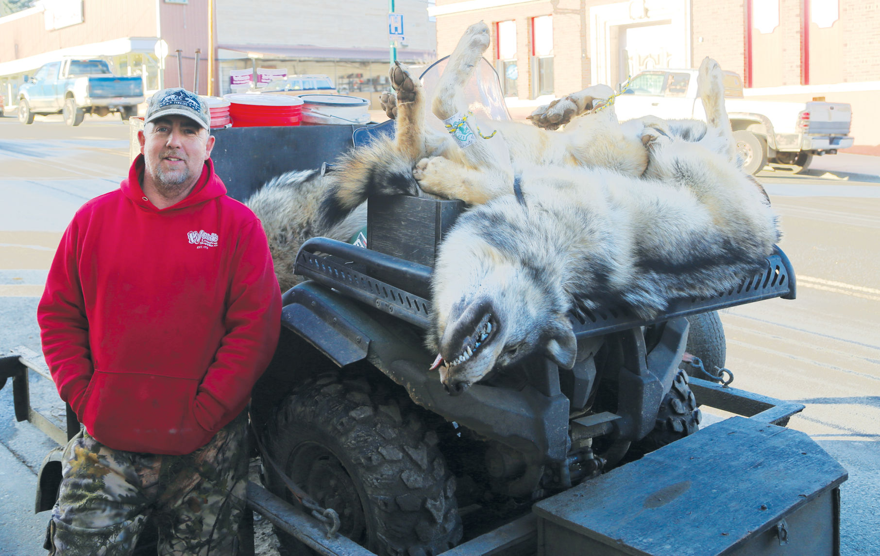 Local trapper